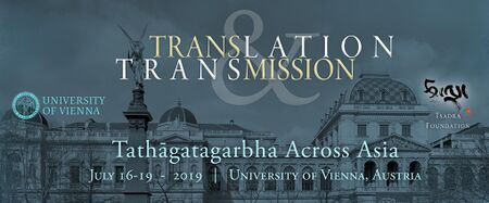 Vienna-Symposium-Banner-for-Workshops-Meetings-Tsadra-website.jpg